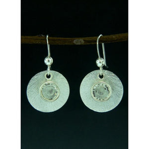 Brushed Crystal Reflections Earrings-Clear
